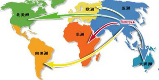 國內出口企業在網絡營銷過程中的通病主要有以下三種